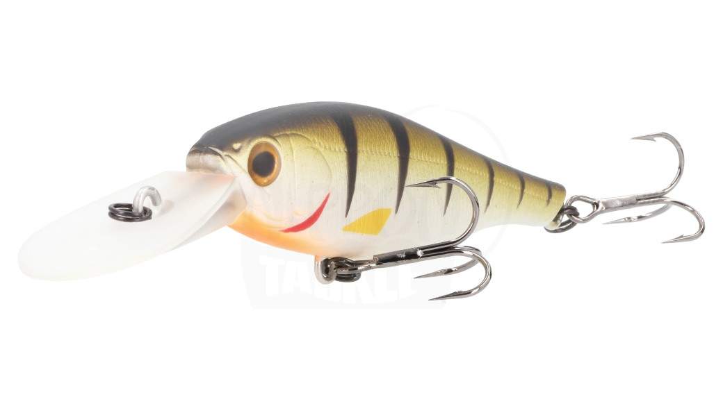 www.nippon-tackle.com
