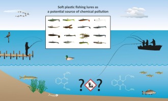 www.sciencedirect.com