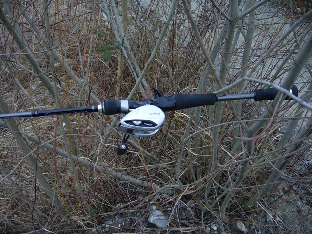 6svffee7.jpg