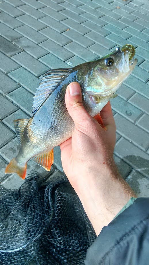 30973000nb.jpg