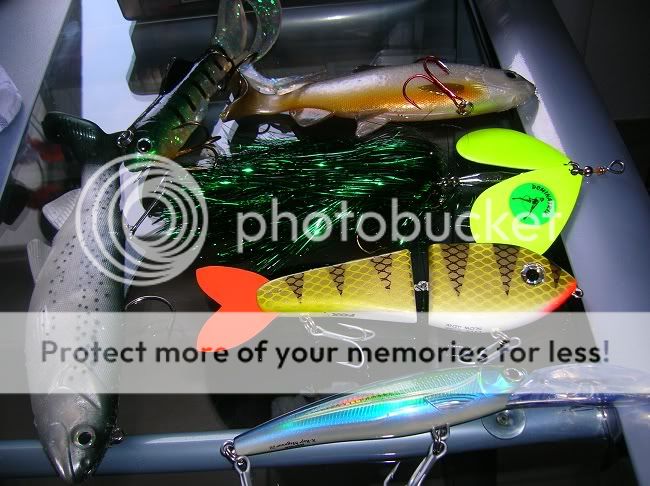 DSCN4908.jpg