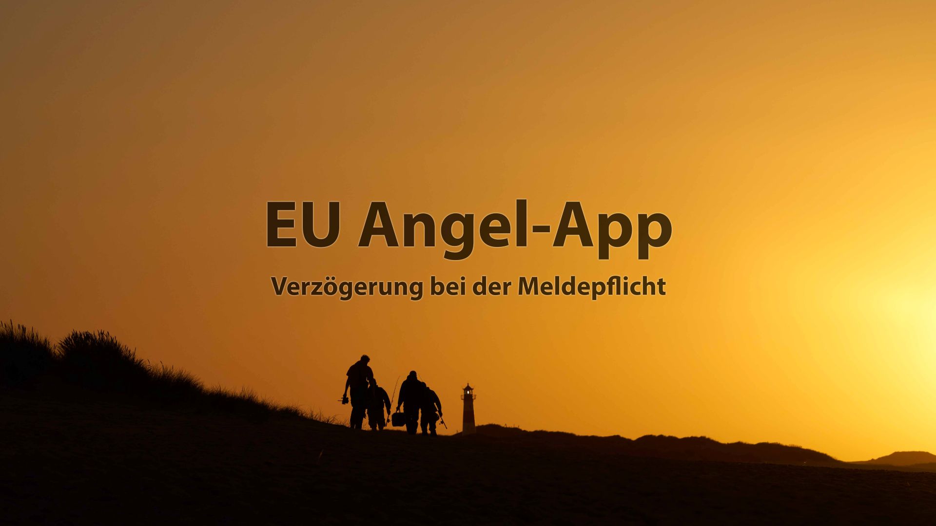 www.dafv.de